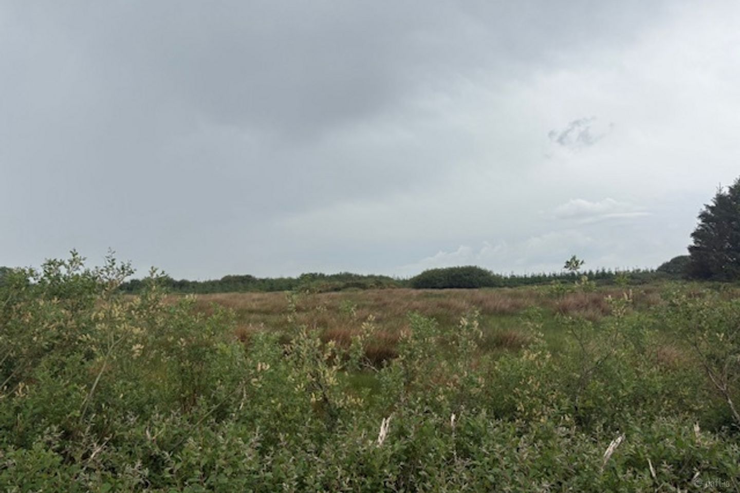 Ballybreen, Kilfenora, Co. Clare, V95K0D8