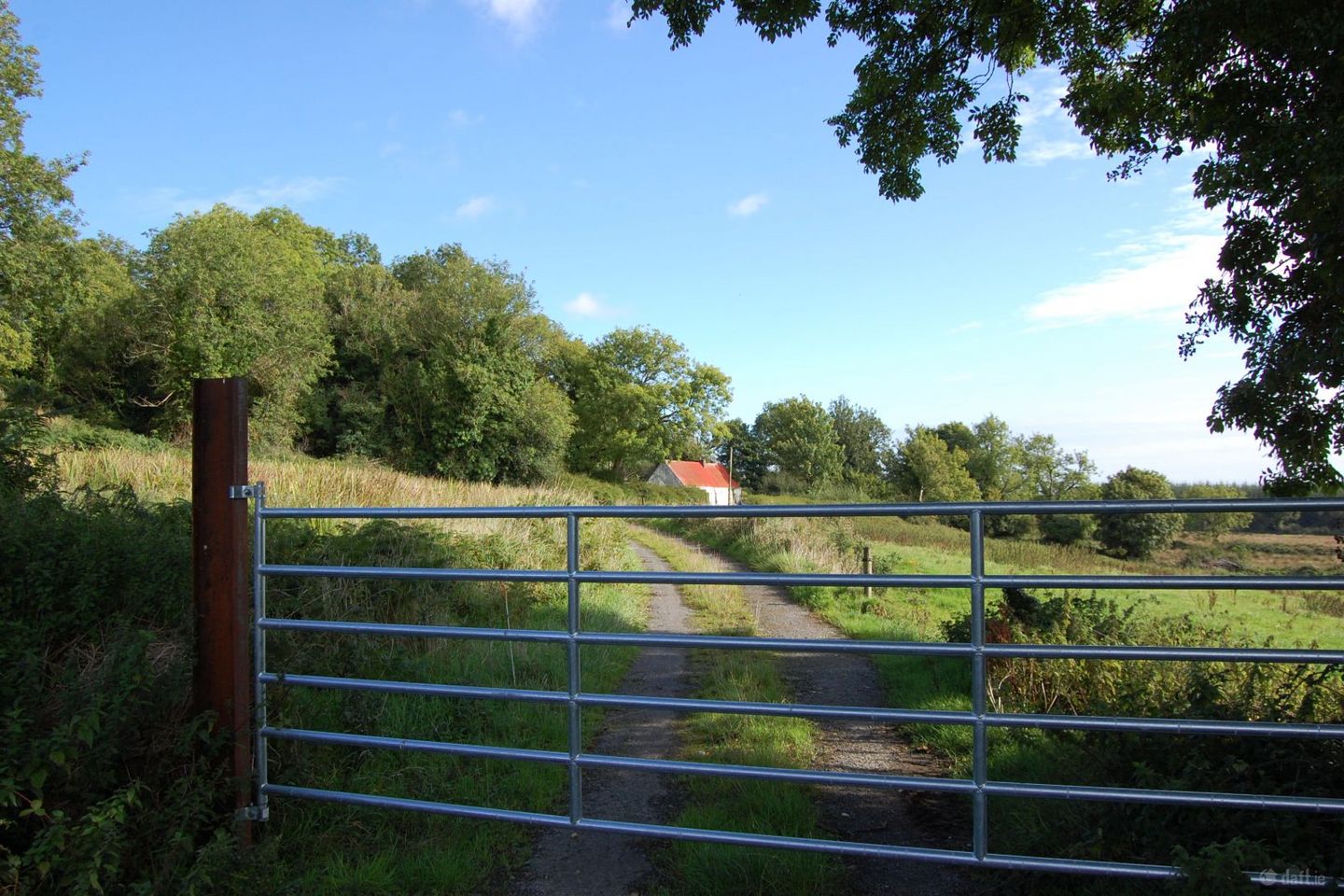 Rooska East, Carrigkerry, Carrigkerry, Co. Limerick, V94V4AV