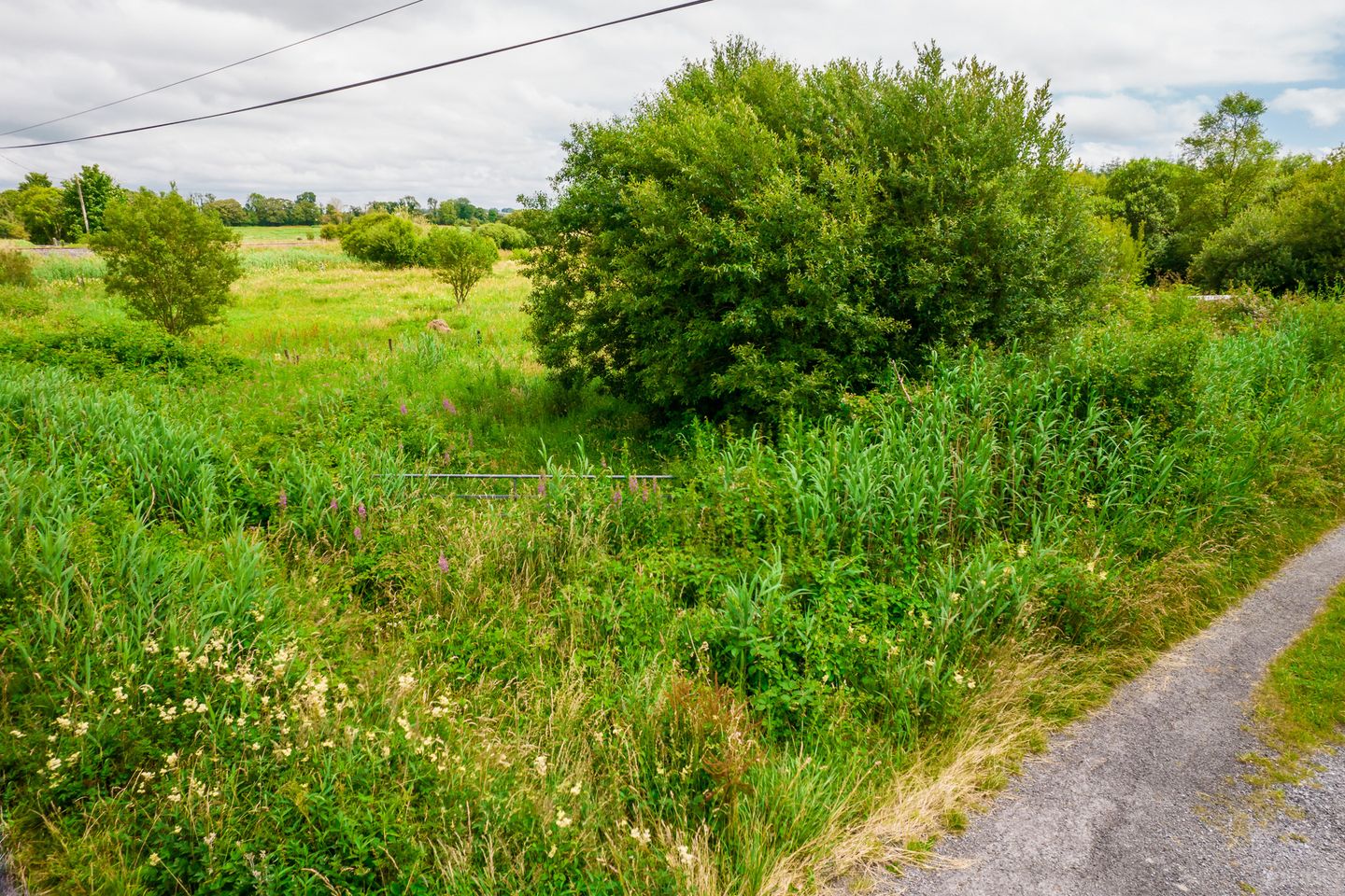 Land For Sale, Ardmore, Donamon, Co. Roscommon