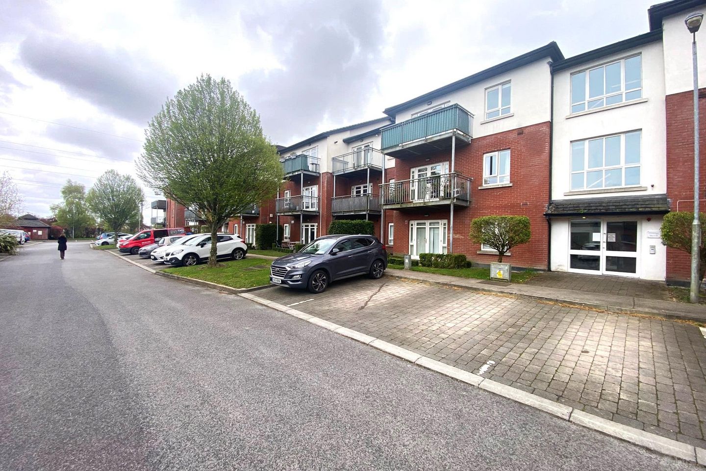 Beech Park Wood, Leixlip, Co. Kildare