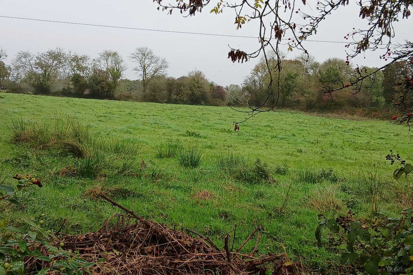 Rathmore Road, Knocknagree, Co. Cork