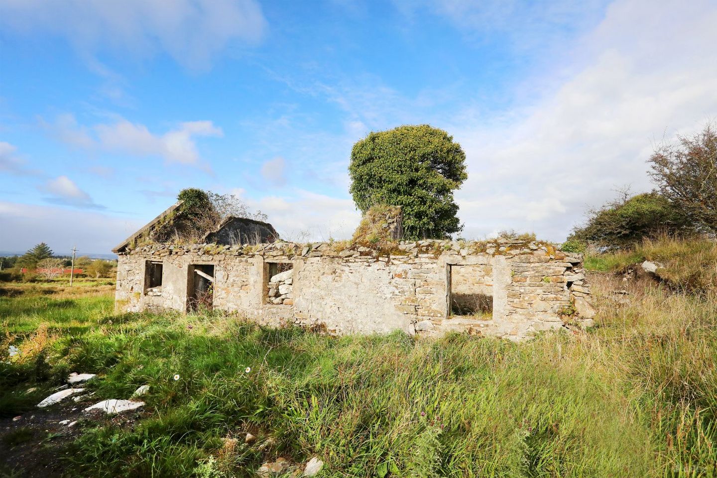  C. 12.5 acres & Derelict Cottage, Curryane, Swinford, Co. Mayo