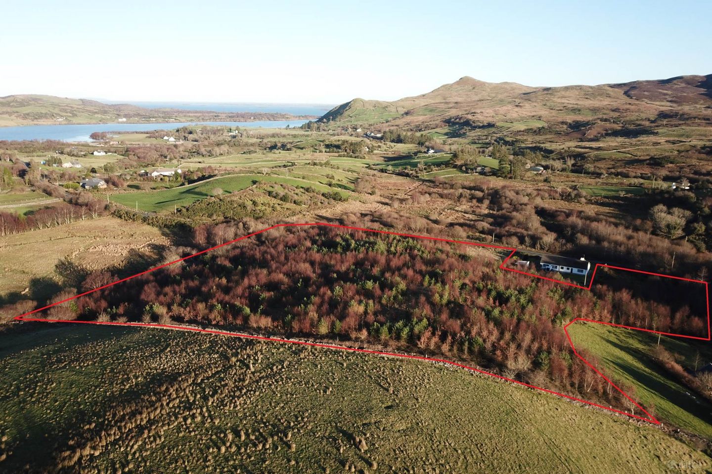 Forestry At Cloghbrack Upper, Cloughbrack Upper, Cornamona, Co. Galway
