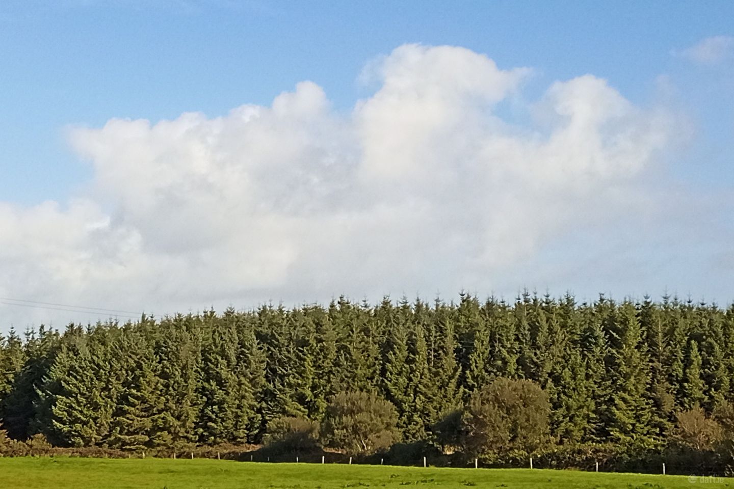 Knockerra, Cooraclare, Kilrush, Co. Clare, V15YY84