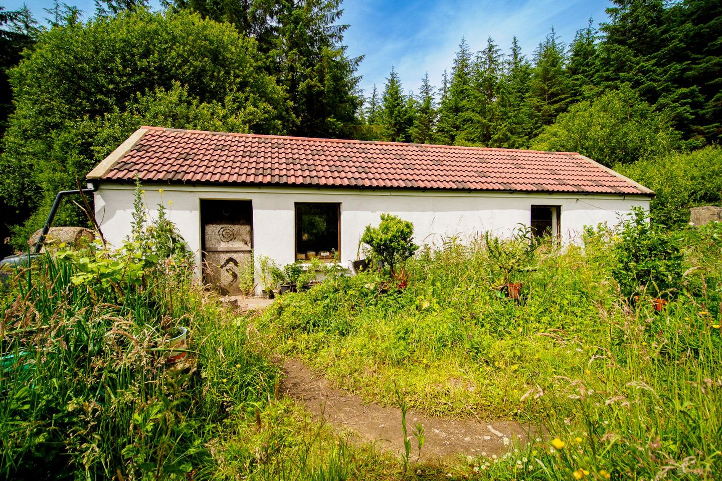 Rooskagh West, Carrigkerry, Co. Limerick