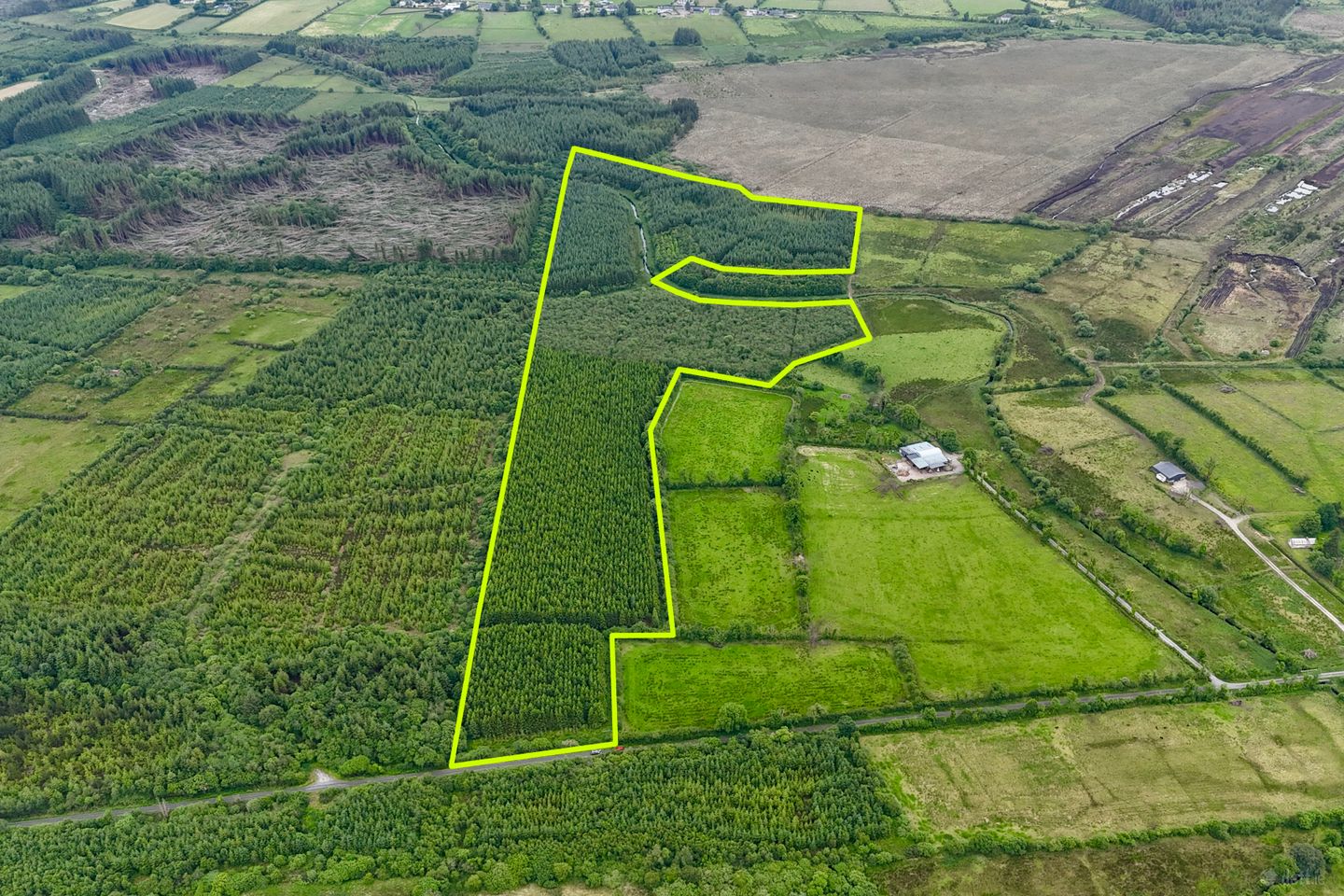 31 acres of mature forestry at Ballyglass East, Loughglynn, Co. Roscommon