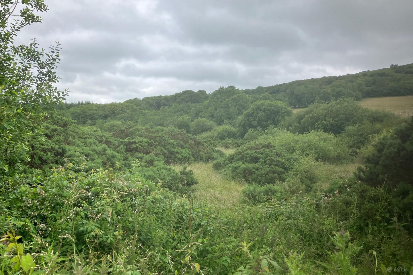 6.94 Acres At Ballysallagh, Hacketstown, Co. Carlow, R93E5Y9