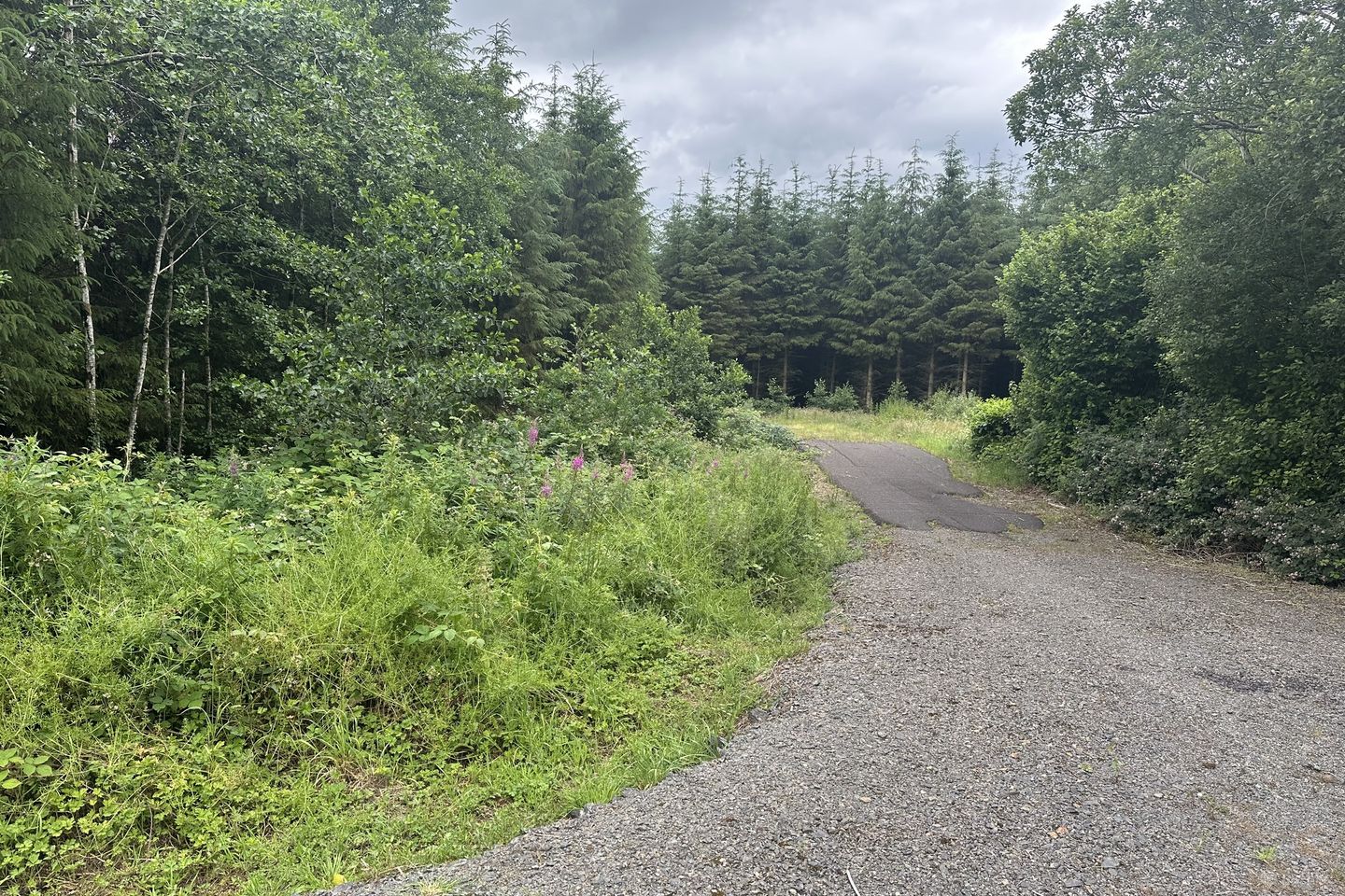 Drumbess, Killeshandra, Co. Cavan