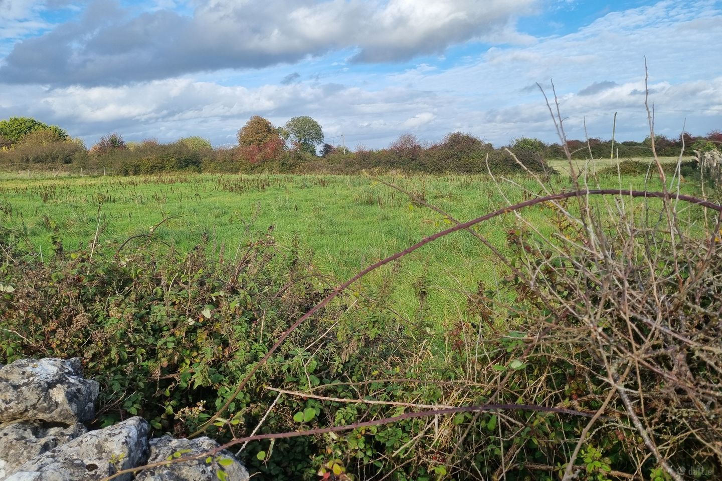 Morenane, Askeaton, Co. Limerick