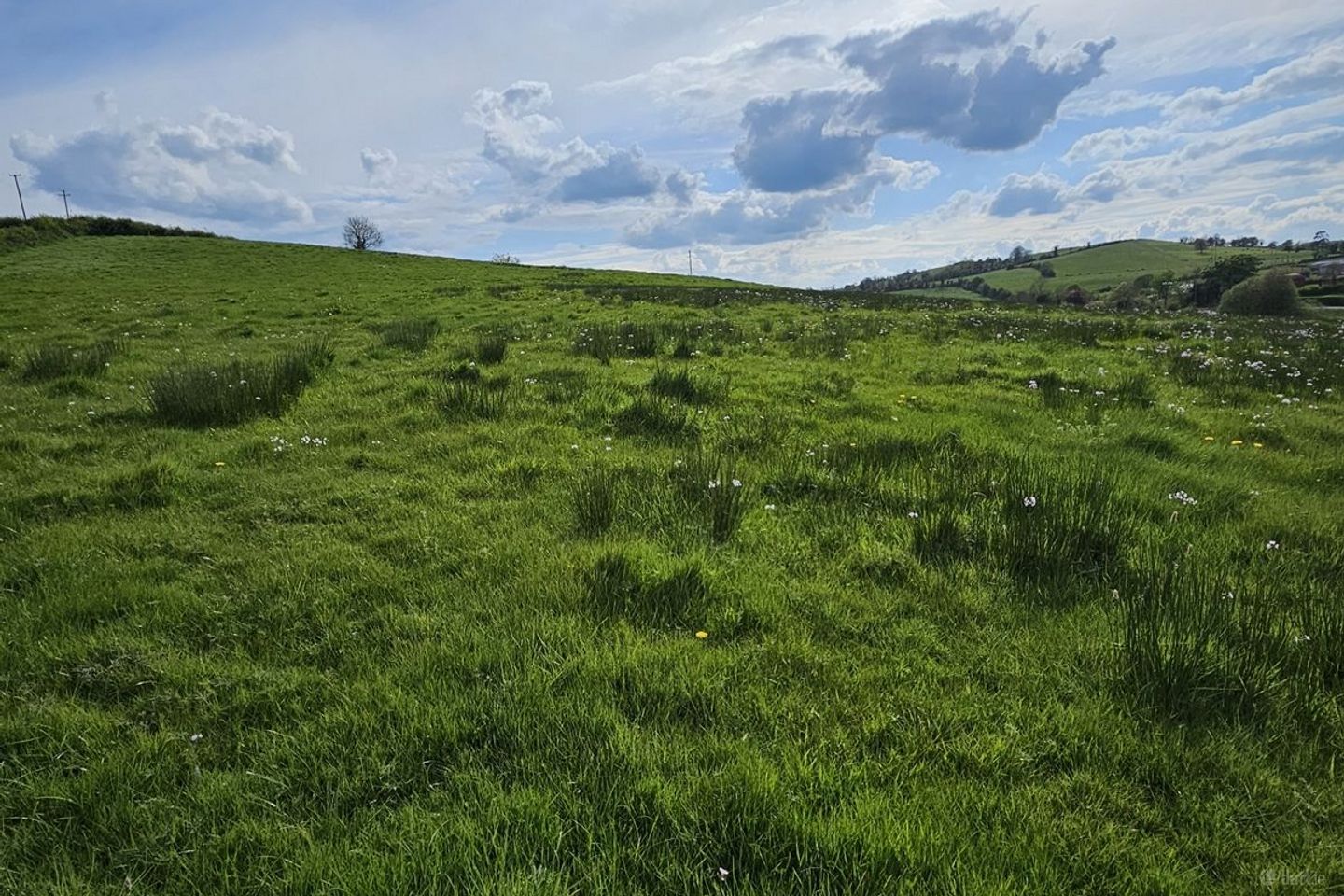 Moylemuck, Lisnalong, Aughnamullen, Co. Monaghan