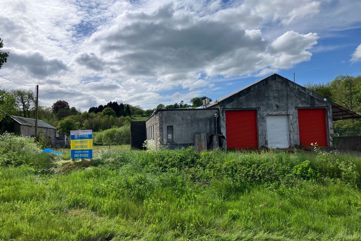 Mourneabbey, Mallow, Co. Cork, P51TW74