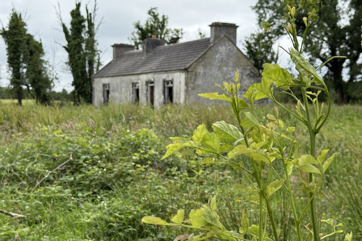 Addergoole, Kiltimagh, Co. Mayo