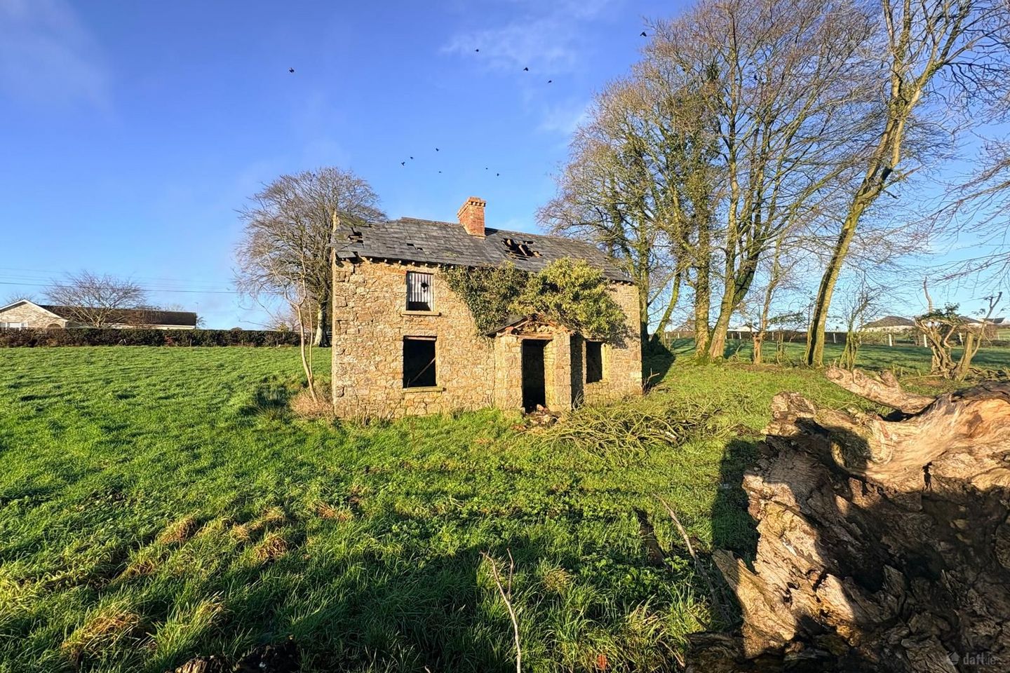 Dundian, Emyvale, Co. Monaghan