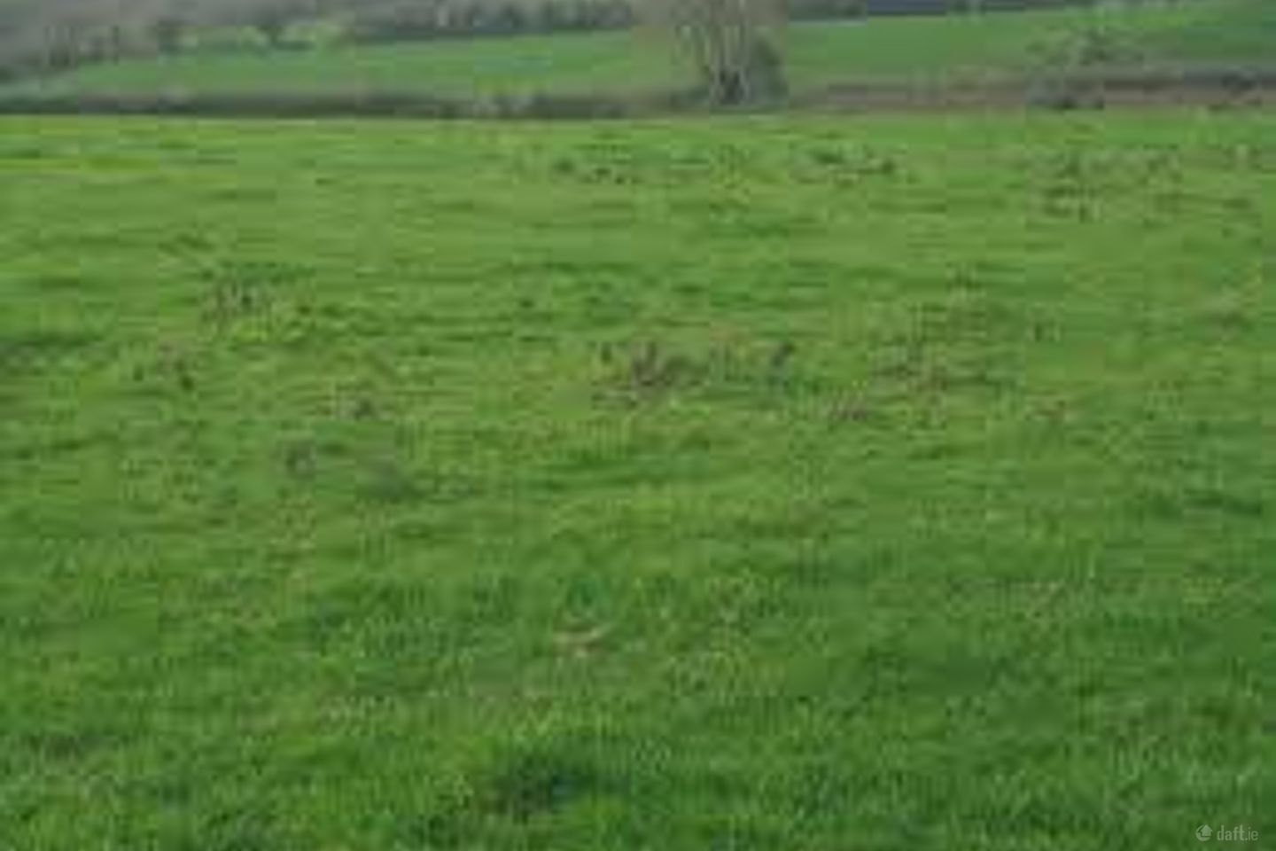 Co,Kilkenny, Cuffesgrange, Co. Kilkenny