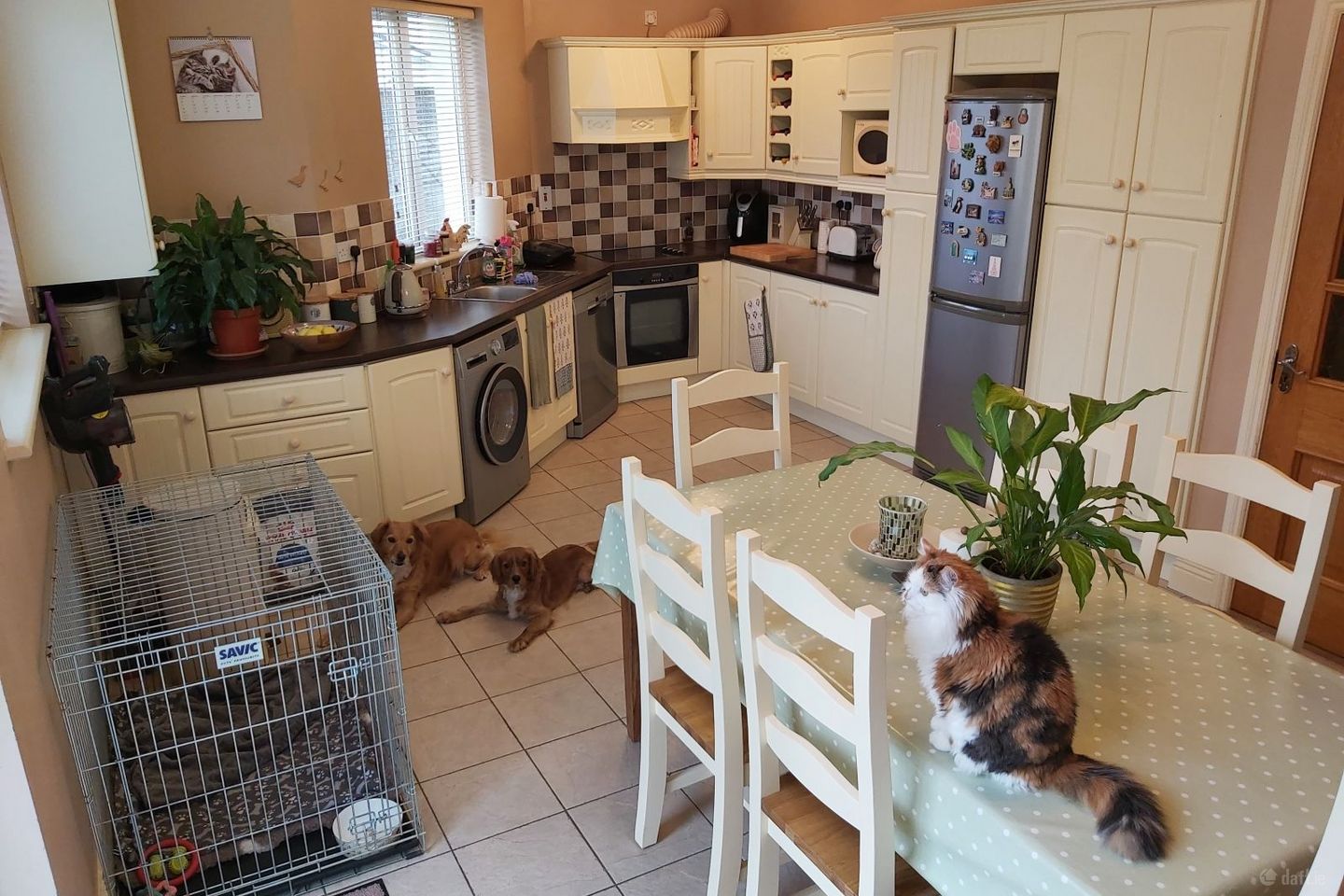 Kilteragh,Dooradoyle,Limerick, Ballinacurra, Co. Limerick