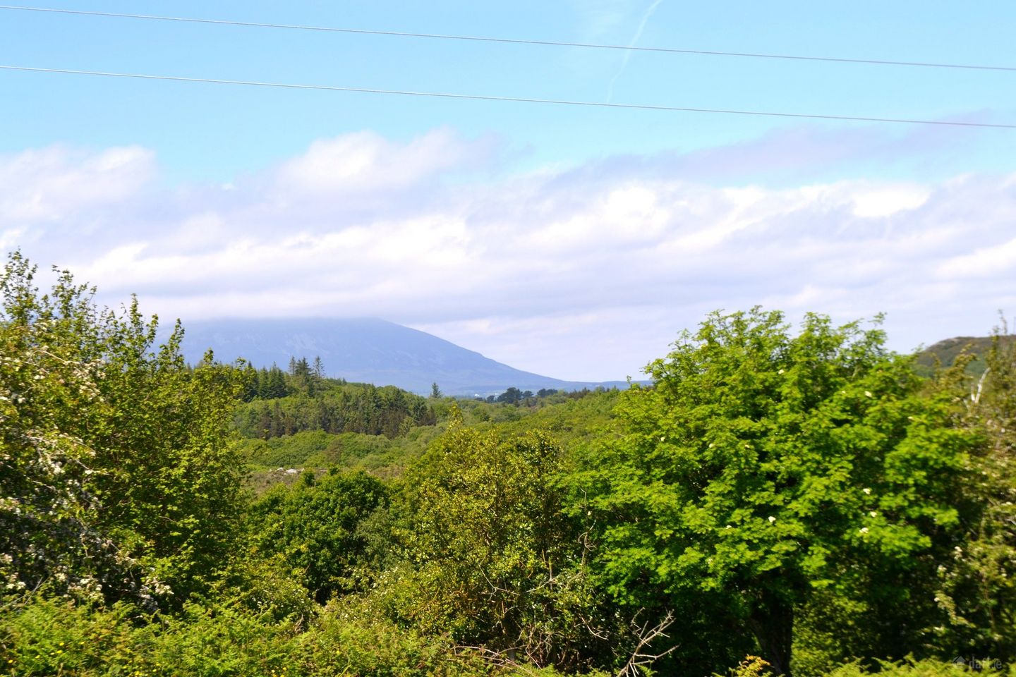 3 Acre Site For Sale , Pontoon, Castlebar, Co. Mayo