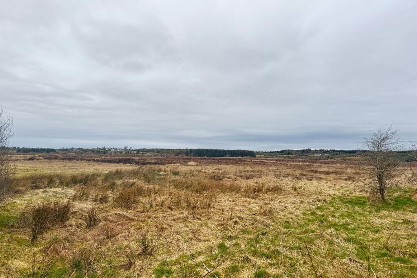 177 Acres Castlerea, Co. Roscommon