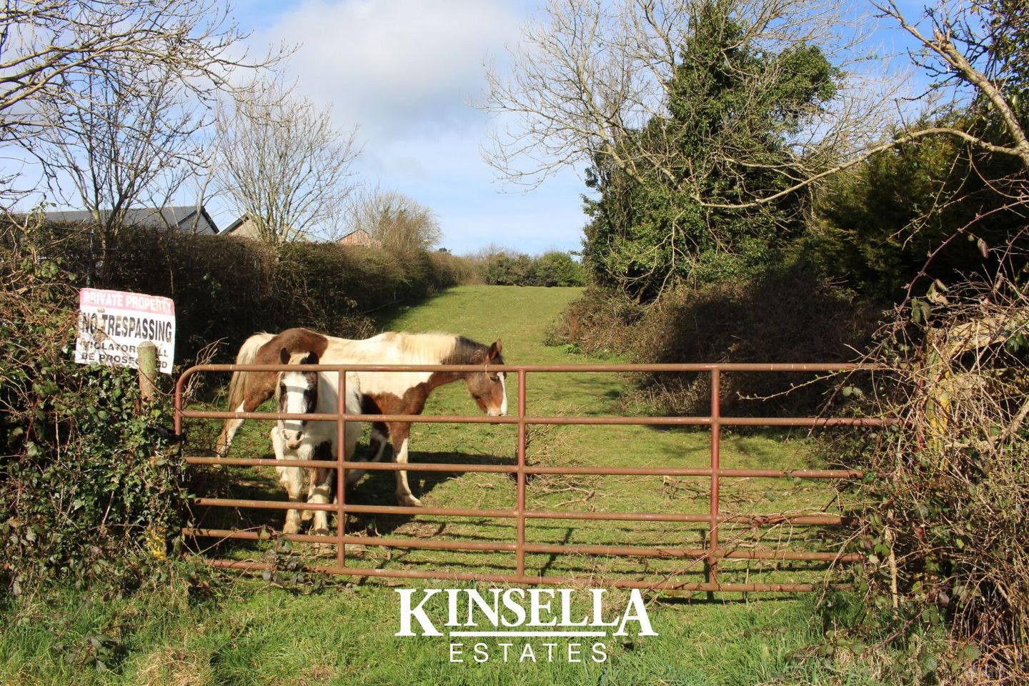 Coolroe, Tinahely, Co. Wicklow