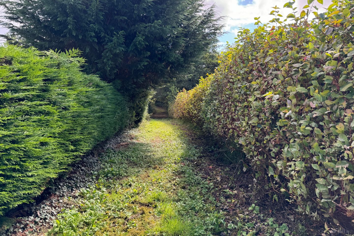 Kilmore, Foxford, Co. Mayo