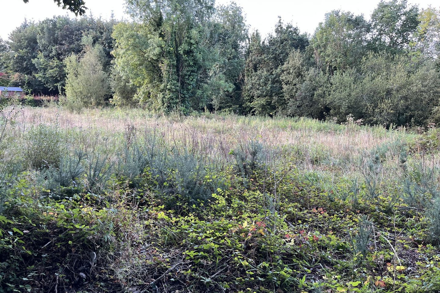 Meelick, Whitegate, Co. Clare