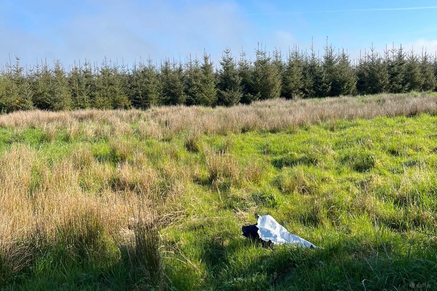 Knocklaide, Timahoe, Co. Laois