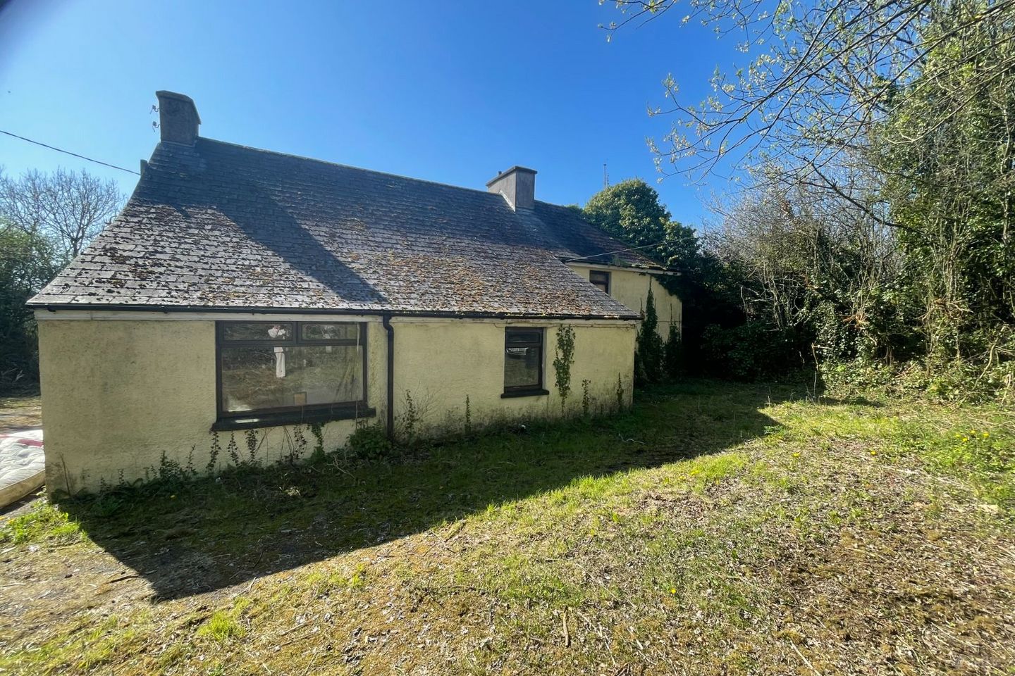 Curraghanolomer, Araglin, Co. Cork, P61YW50