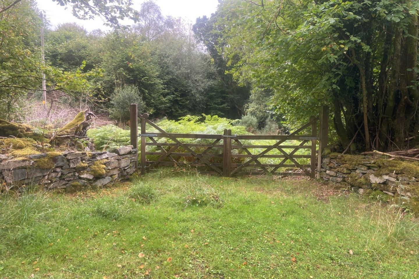 Annagh Beg, Glenflesk, Killarney, Co. Kerry, V93F992