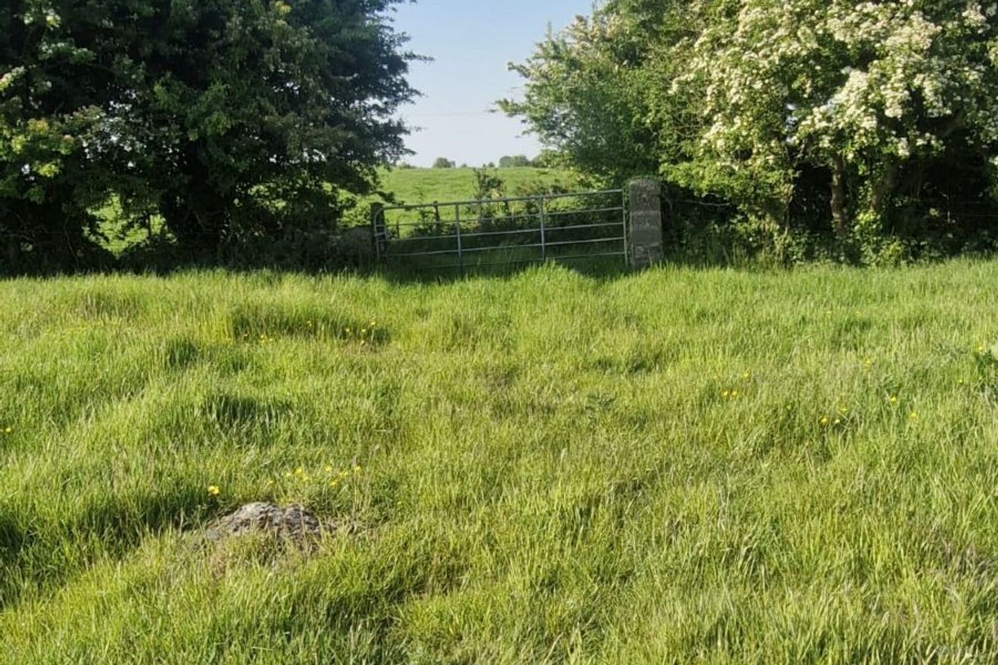 Cloonulty, Ballydangan, Athlone, Co. Roscommon, H53YY88