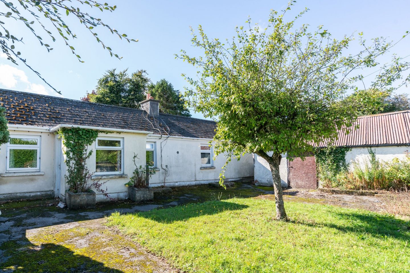 Barrowhouse,, Shanganagh Beg,, Co. Laois,, R14AW77