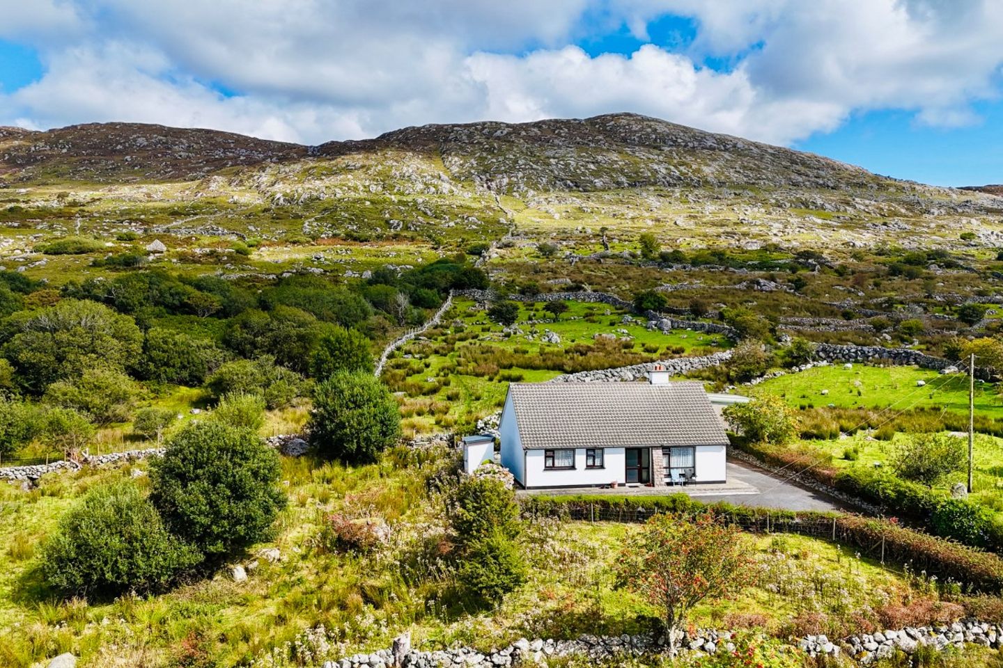Leitir Móir Na Coille, Shanvally, Camus, Co Galway, H91A6FV