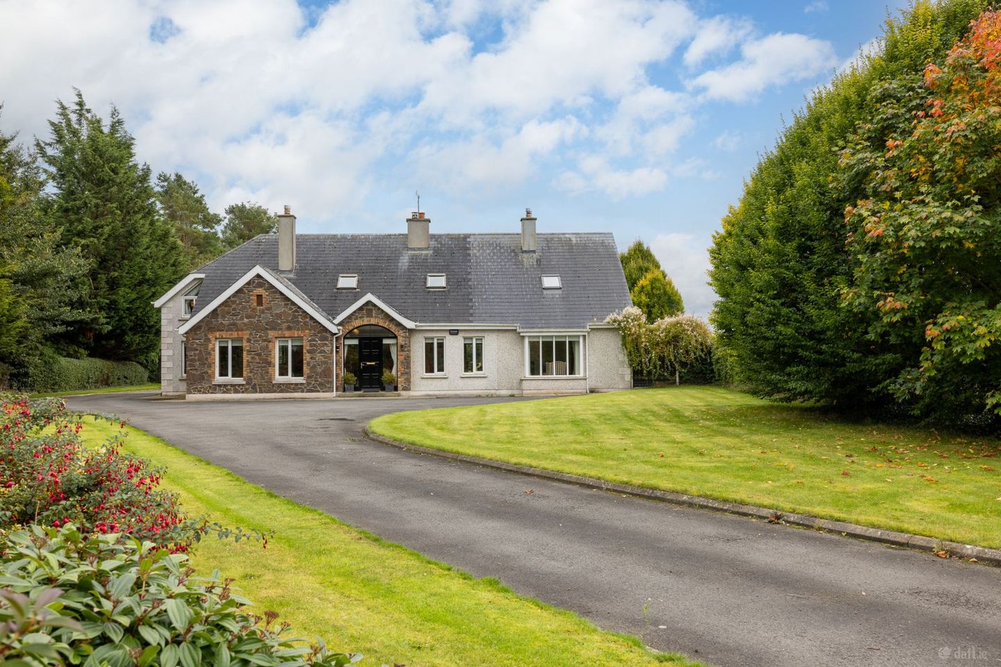 Heath, Grangemellon, Ballyroe, Co. Kildare