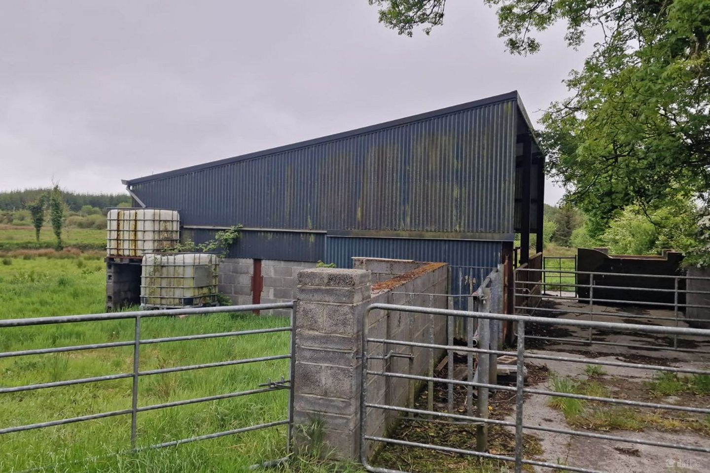 c.1.877 acres and Shed Moorfield, Williamstown, Co. Galway
