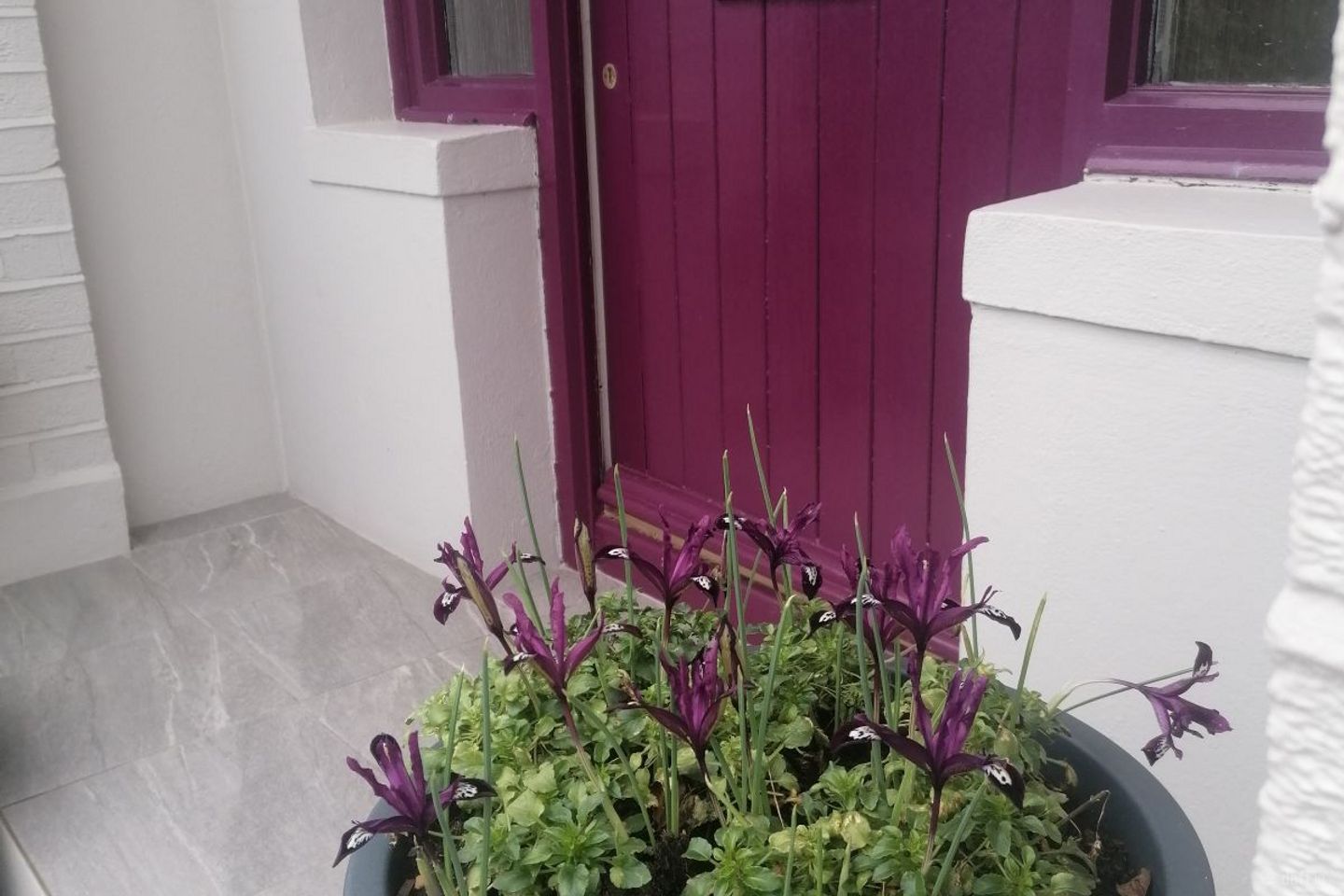 St.Anne's, Wilton Avenue, Bishopstown, Co. Cork