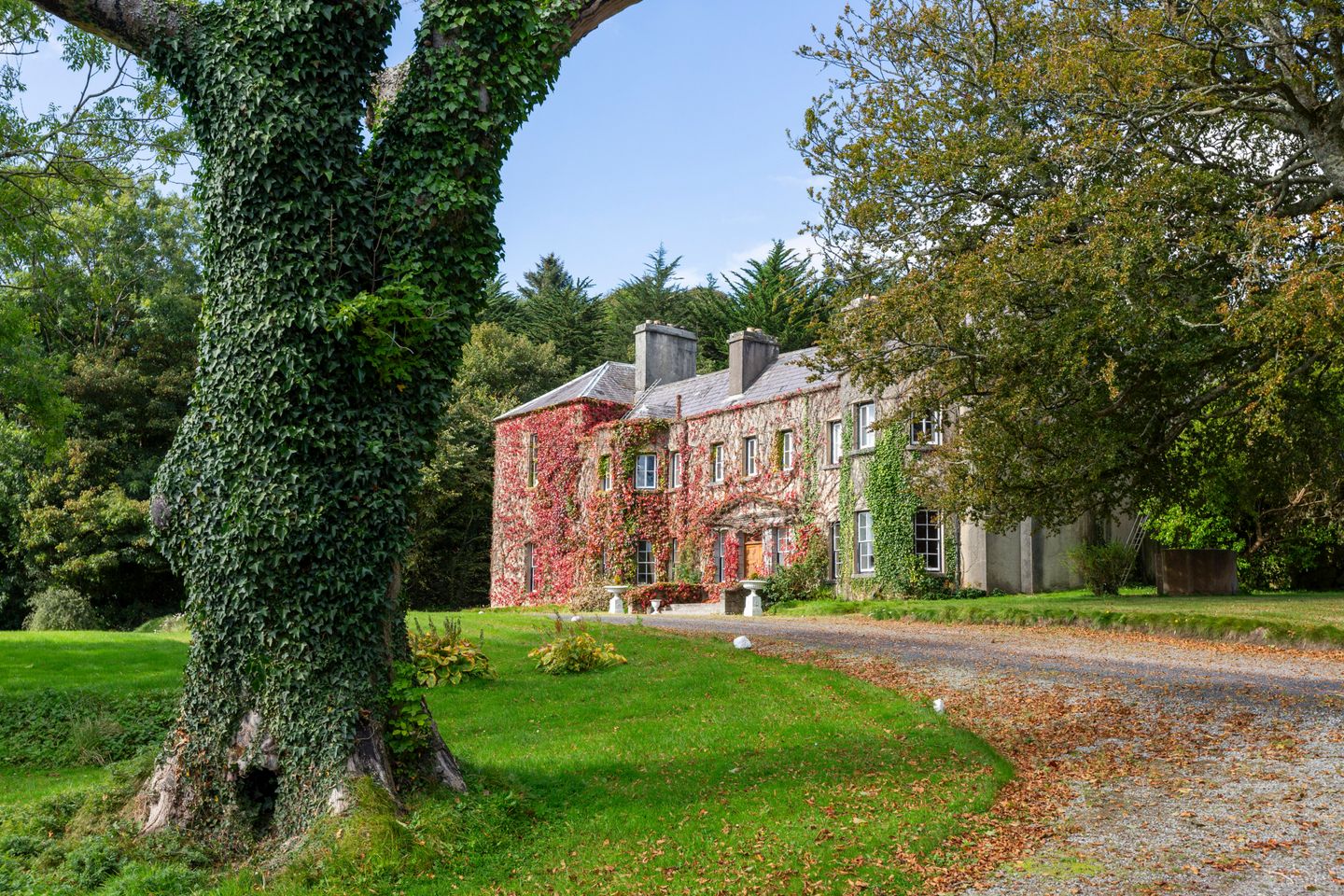 Newport House, Main Street, Newport, Co Mayo, F28F243