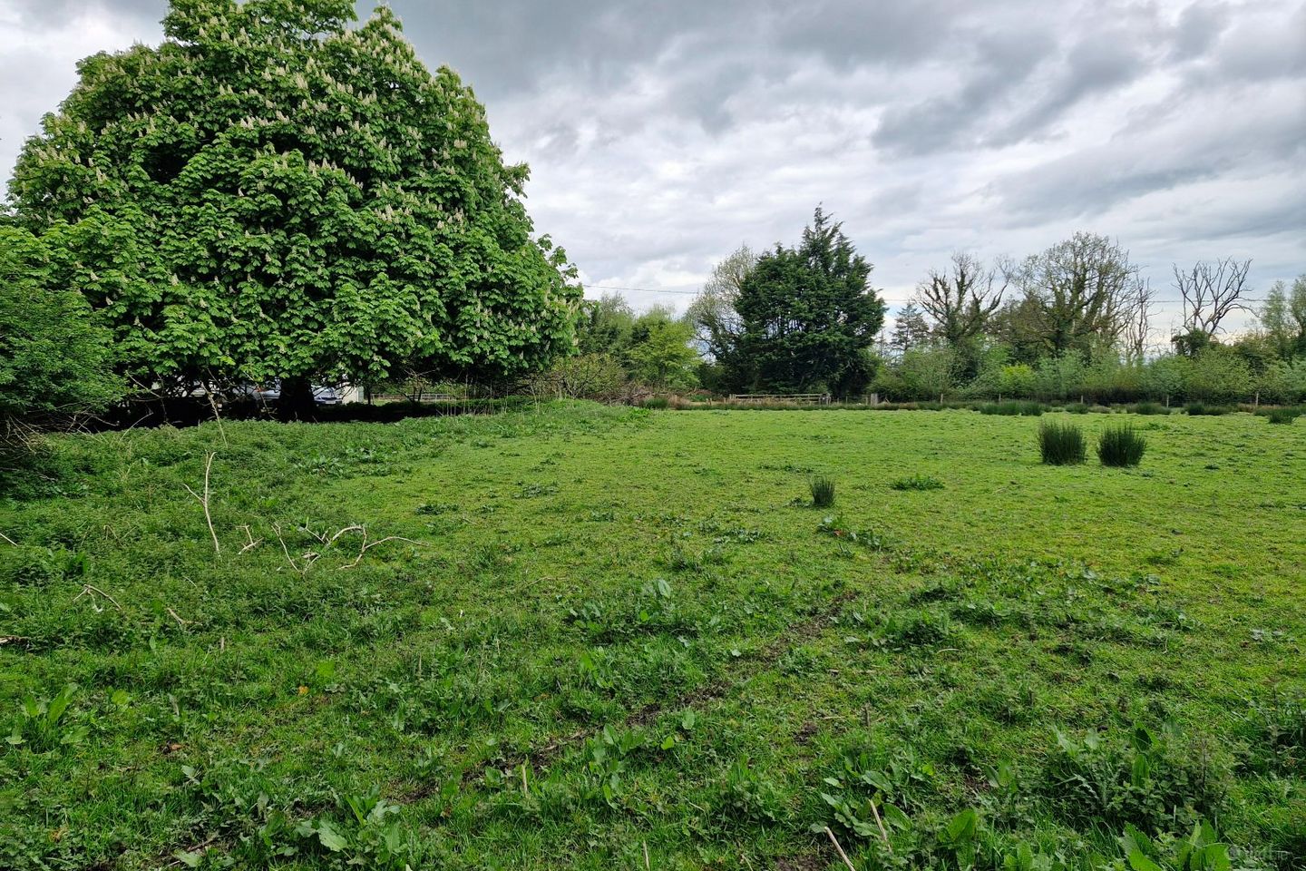 Newgrove, Kilrickle, Loughrea, Co. Galway