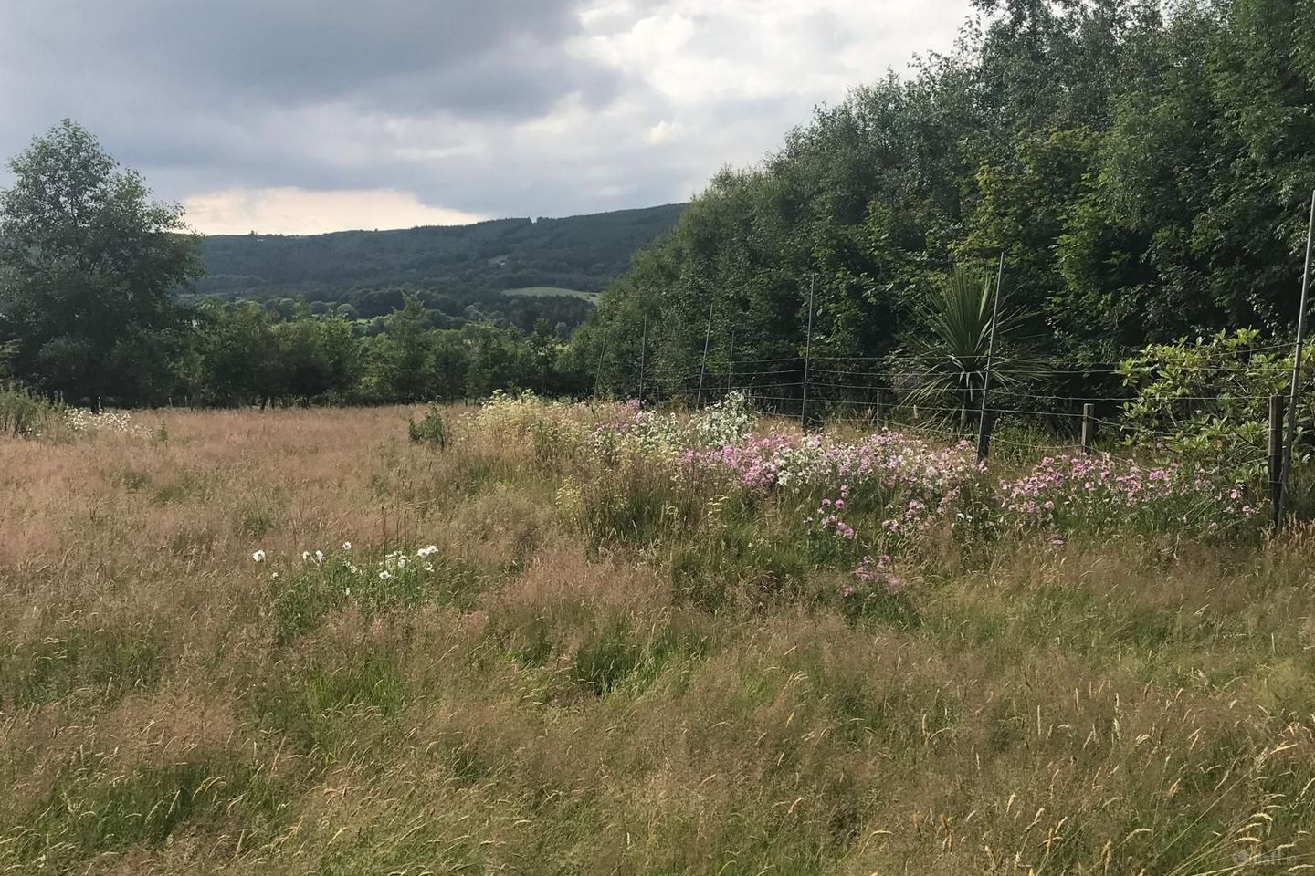 Ballylusk, Ashford, Co. Wicklow