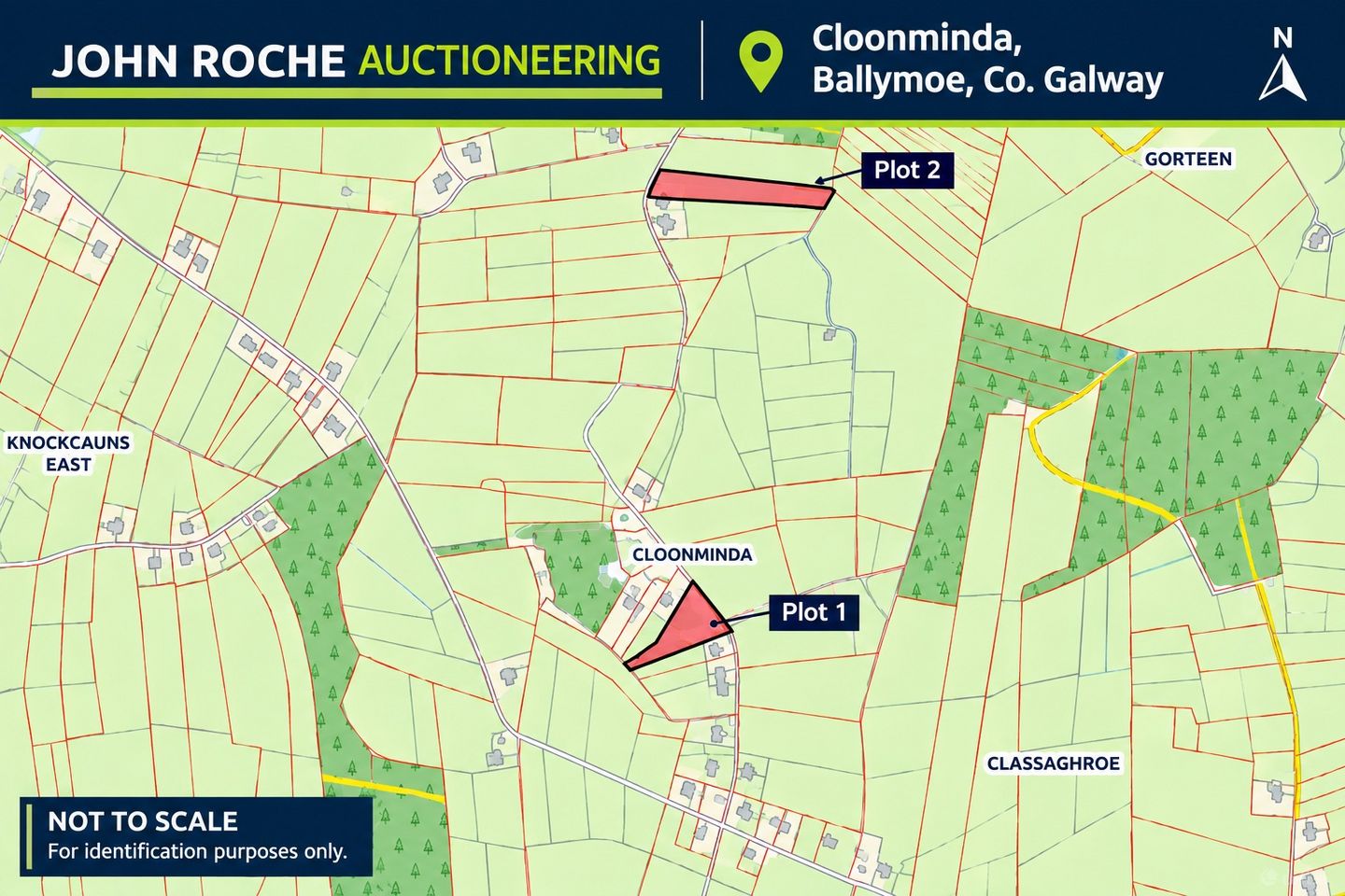 Cloonminda, Ballymoe, Co. Galway