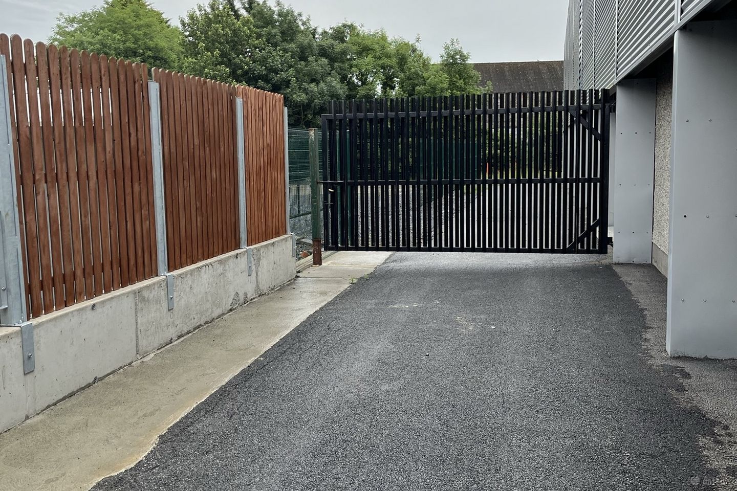 Kea Lew, Portlaoise, Co. Laois