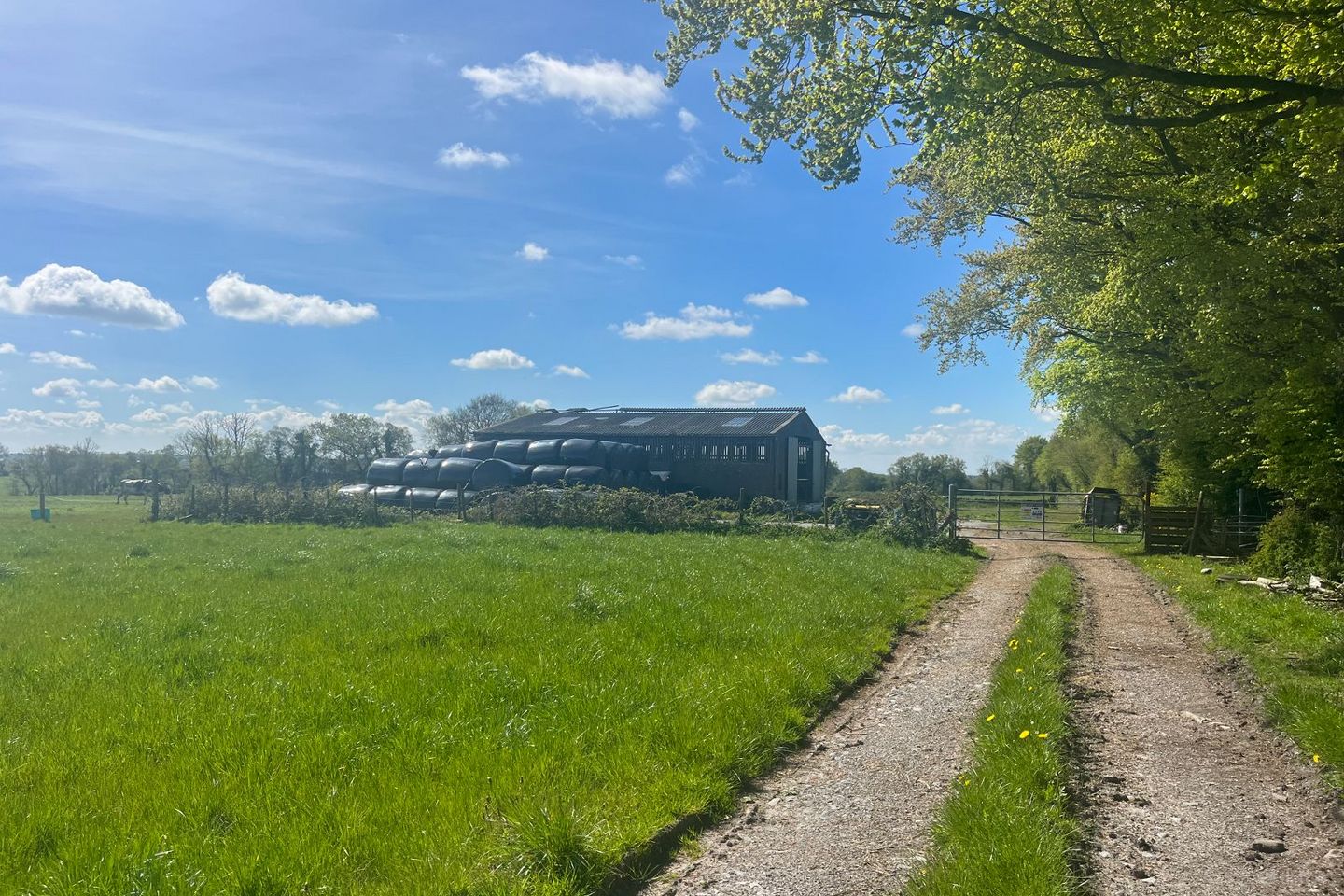 Windfield Demesne , Menlough , Ballinasloe , Menlough, Co. Galway