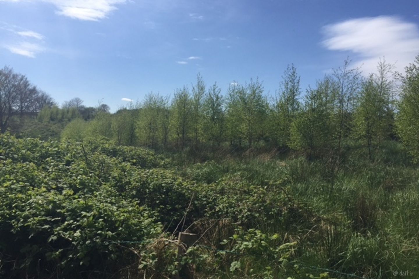 00, Kilnaleck, Co. Cavan