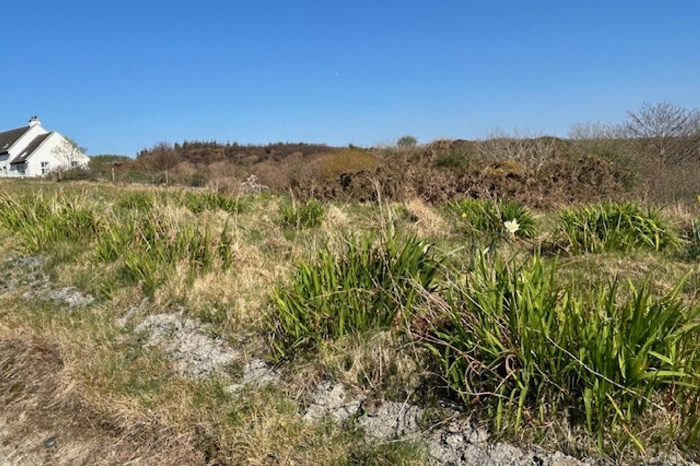 Ardeamush, Lisdoonvarna, Co. Clare