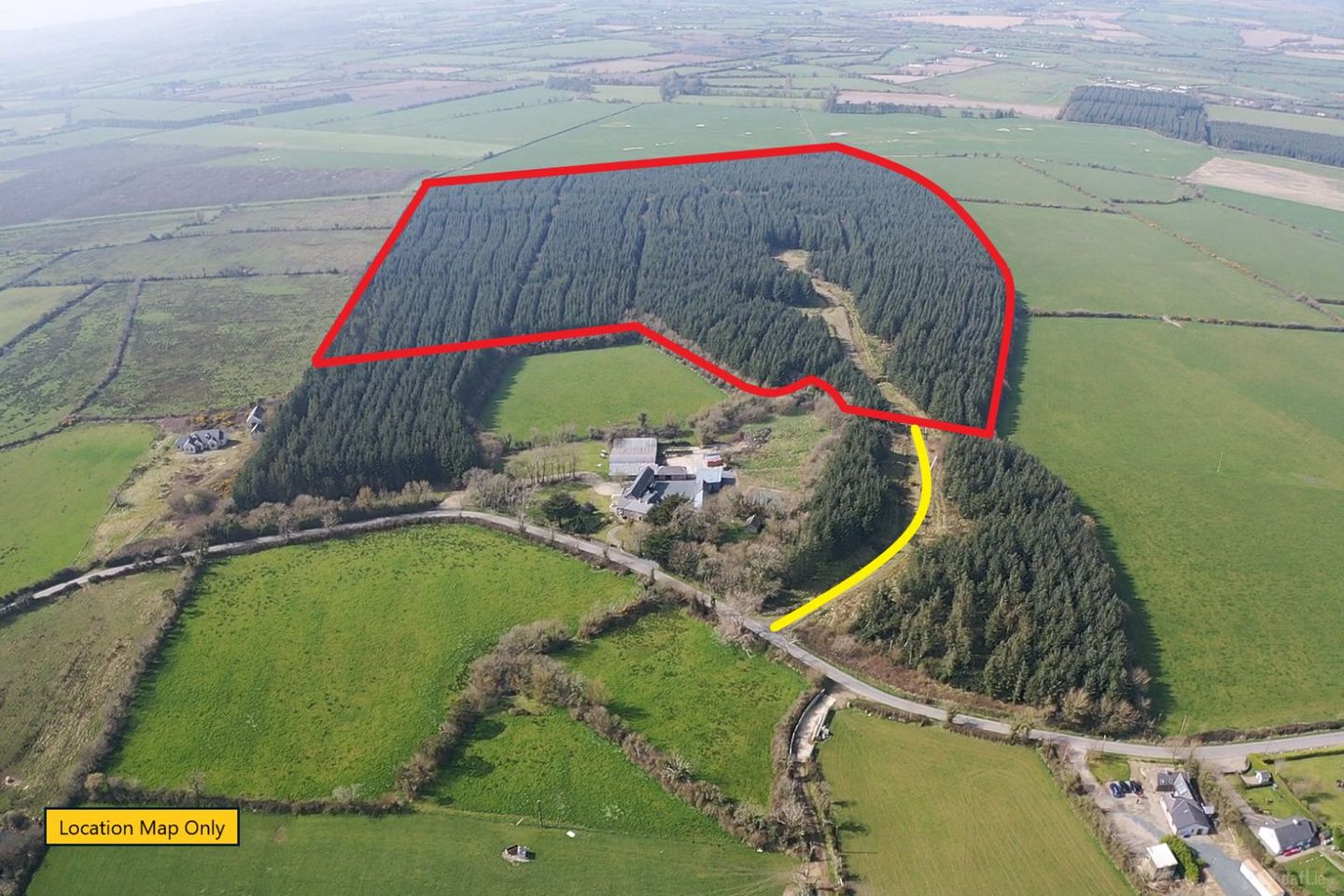 Mature forestry Plantation C.59.35 Crandaniel, Kilmuckridge, Co. Wexford