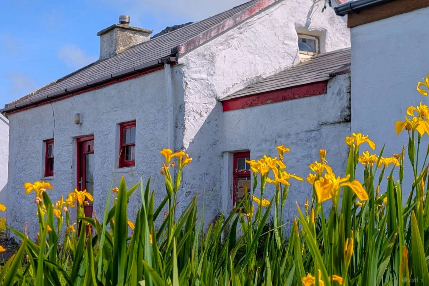 Dohilla, Valentia Island, Valentia Island, Co. Kerry, V23YH21