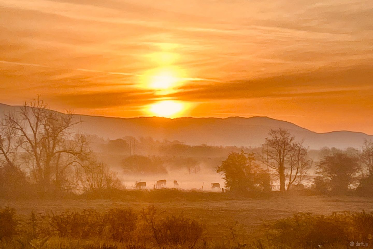 Dundalk, Kilcurry, Co. Louth