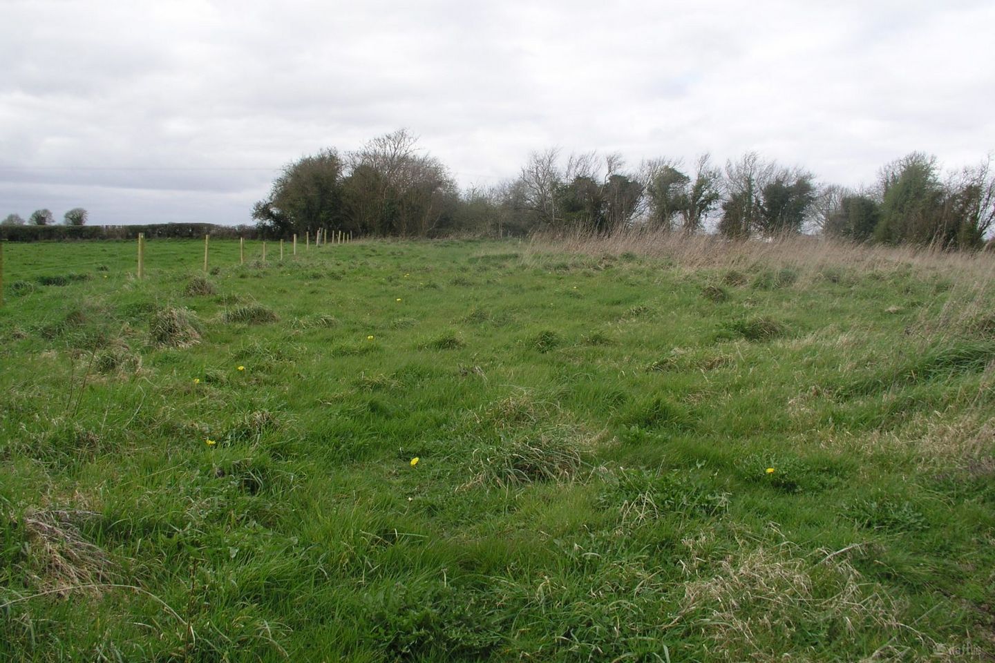 Tullacommon, Ballybrophy, Co. Laois