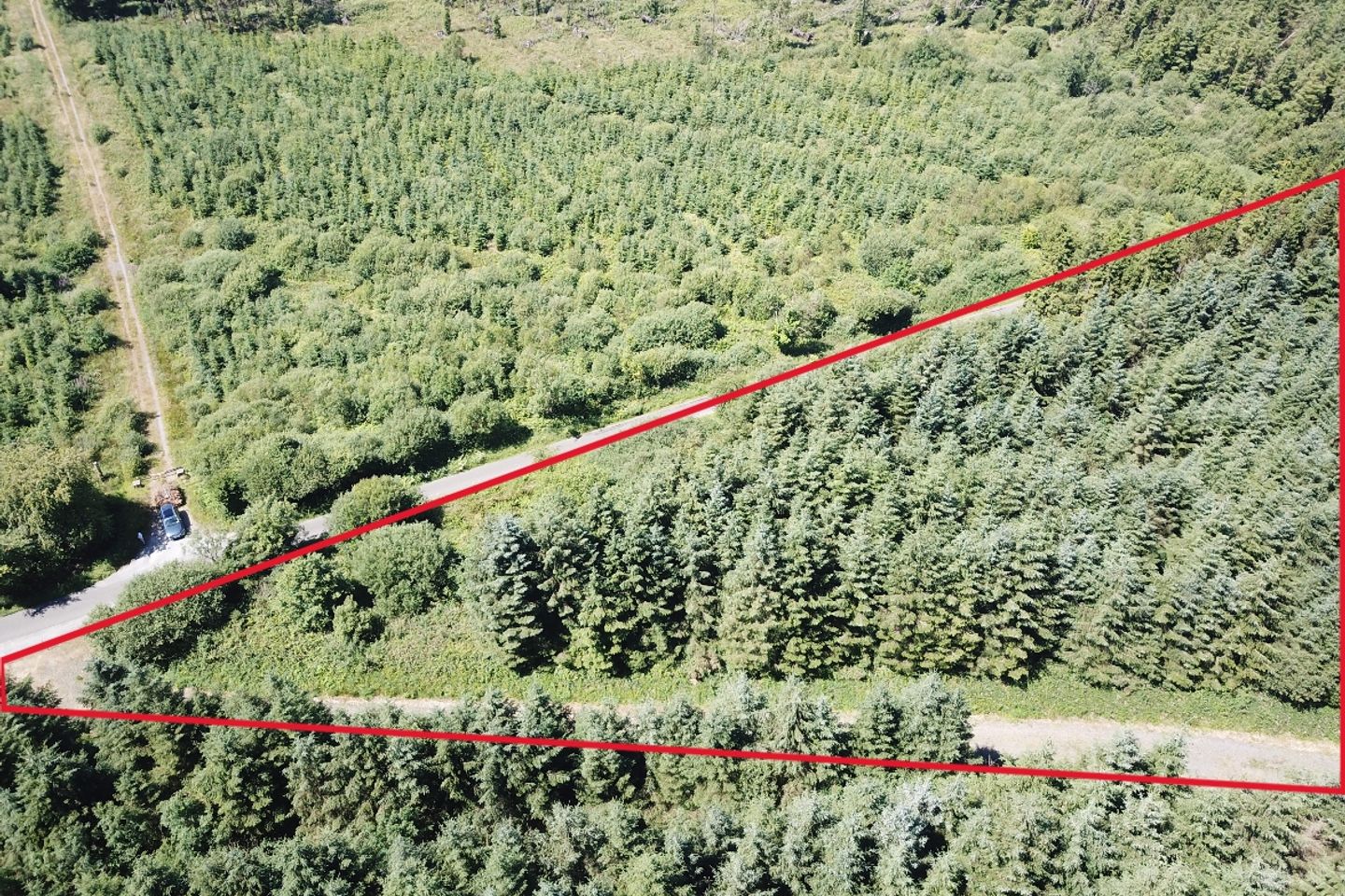 Forestry Land At Smithstown, Mullinavat, Co. Kilkenny