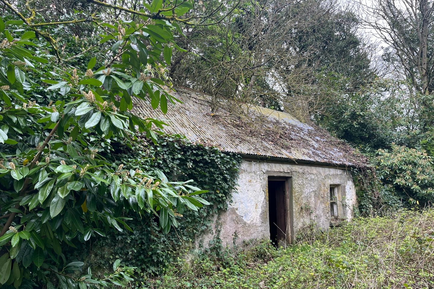 Clonydonnin, Castledaly, Athlone, Co. Westmeath