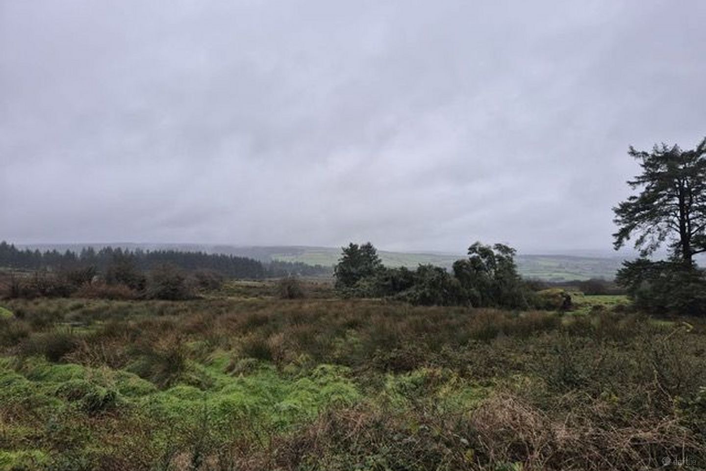 Caherlevoy, Mountcollins, Co. Limerick