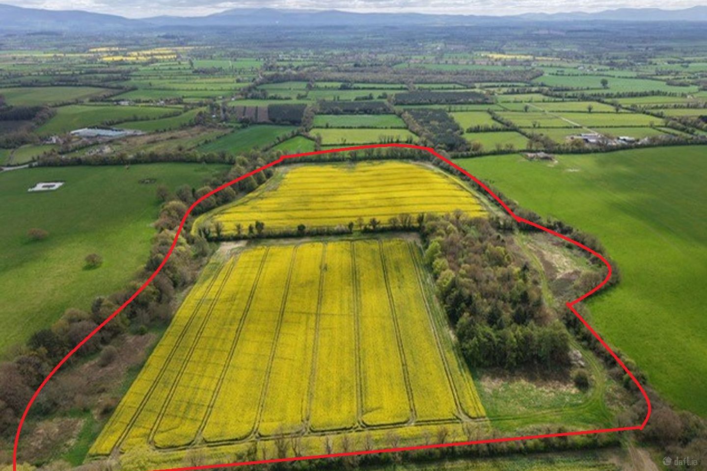 Silverfort, Fethard, Co. Tipperary