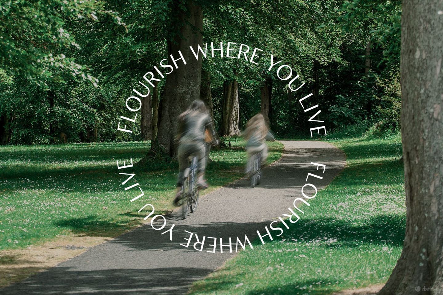 1 Bedroom Apartment , Glenville Garden, Fosters Avenue , Mount Merrion, Co. Dublin